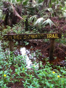 Cypress Swamp Trail