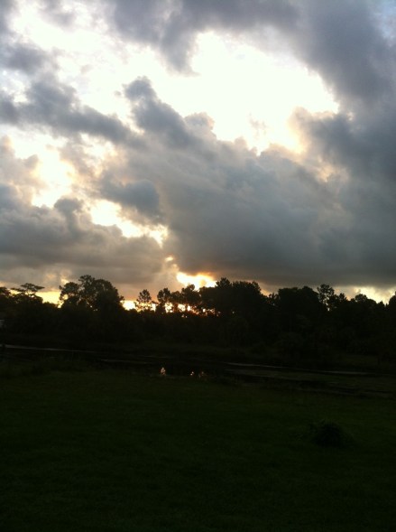 Morning view from my back porch