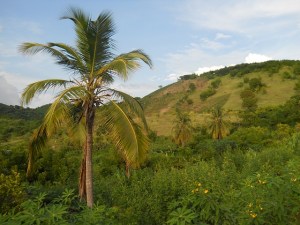 haiti-85873_640