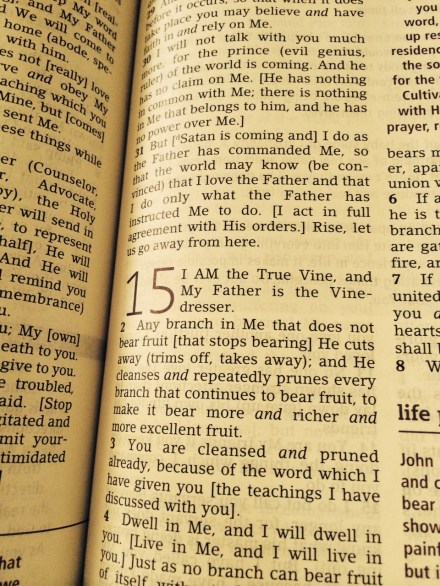 True Vine