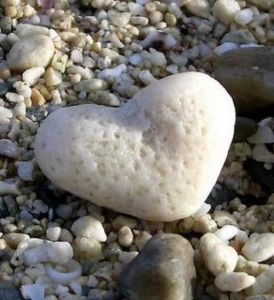 Image from Pinterest